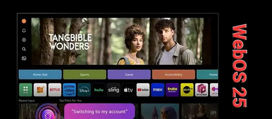 سیستم عامل WebOS 25